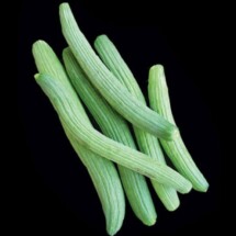 Melon, Dark Green Serpent 1