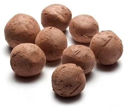 Seed Ballz