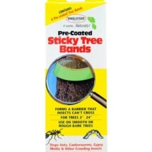 Tree Bands