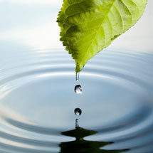 Water Purification