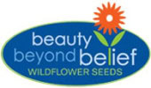 Beauty Beyond Belief