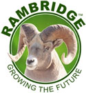 Rambridge Wholesale Supply