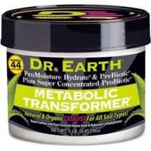 Metabolic Transformer