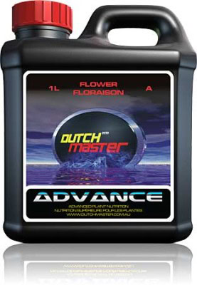 Dutch Master Advance (A & B) 1