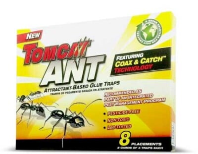 Ant Glue Traps 1
