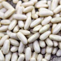 Bean, French Garden 1