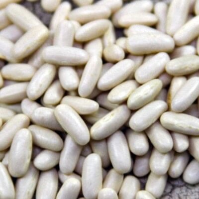 Bean, French Garden 1