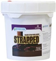 Strapped - Blackstrap Molasses 1