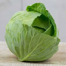 Cabbage, Brunswick 1