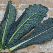Cabbage, Nero Di Toscana 1