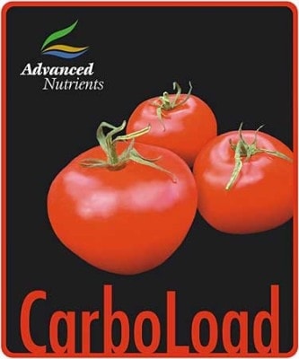 CarboLoad Powder 1