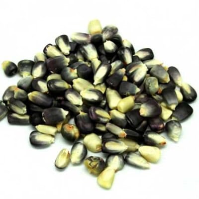 Corn, Cherokee White Eagle 1