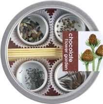 Chocolate Flower Garden 1