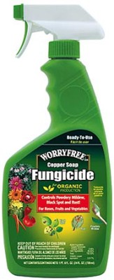 Copper Soap Fungicide 1