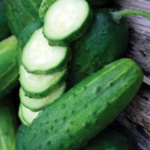 Cucumber, Boston Pickling 1