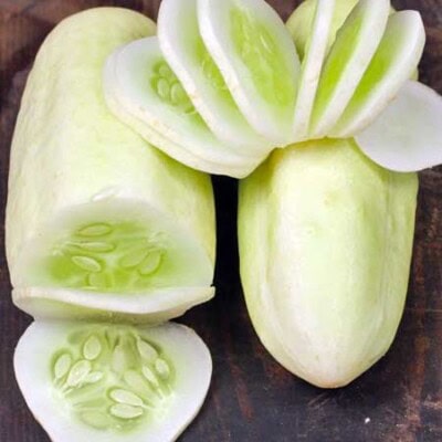 Cucumber, Miniature White 1
