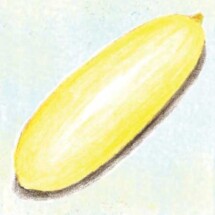 Cucumber, Uzbekski 1