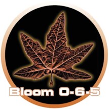 Cutting Edge Solutions BLOOM 1