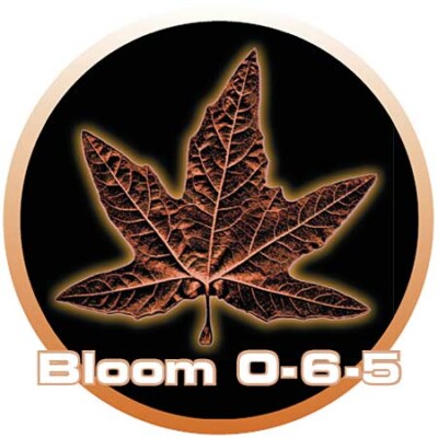 Cutting Edge Solutions BLOOM 1