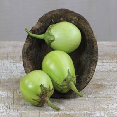 Eggplant, Applegreen 1