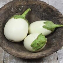 Eggplant, Japanese White 1