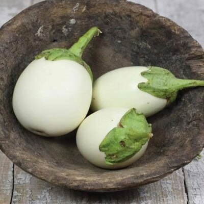 Eggplant, Japanese White 1
