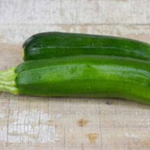 Squash, Fordhook Zucchini 1