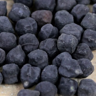 Garbanzo Bean, Kabouli Black 1