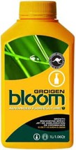 Bloom Groigen 1