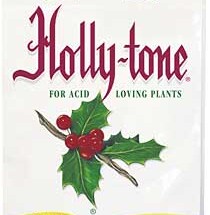 Holly-Tone 1