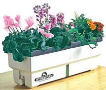 Homegarden Hydroponic System 1