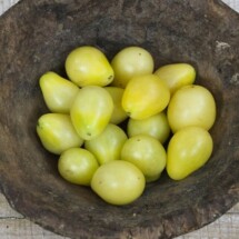 Tomato, Ivory Pear 1