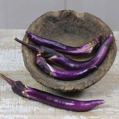 Eggplant, Japanese Pickling 1