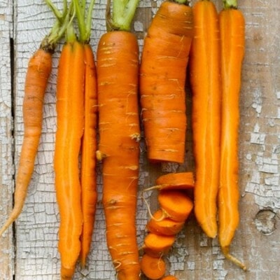 Carrot, Little Finger 1