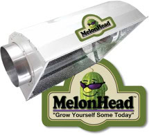 MelonHead Air Cooled Reflector 1