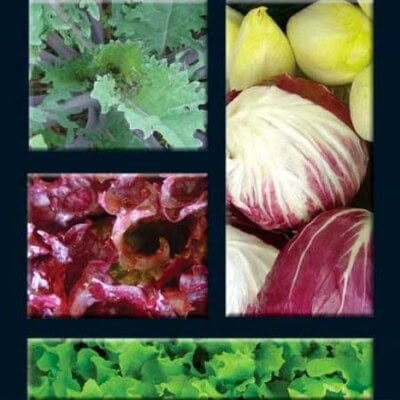 Mesclun Mix, European Salad 1