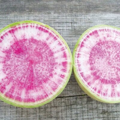 Radish, Misato Rose 1