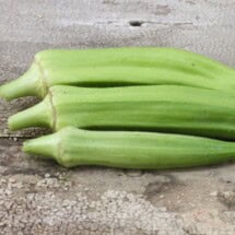 Okra, Clemson Spineless 1