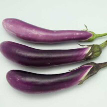 Eggplant, Ping Tung 1