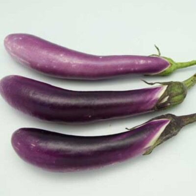 Eggplant, Ping Tung 1