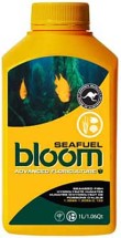 Bloom SeaFuel 1