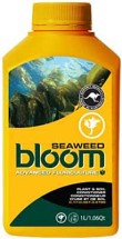 Bloom Seaweed (2
