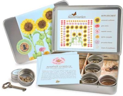 The Secret Garden Kit 1