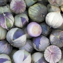 Tomatillo, Purple de Milpa (Organic) 1