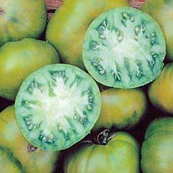 Tomato, Tasty Evergreen (Organic) 1