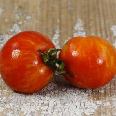 Tomato, Tigerella 1