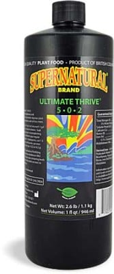 Ultimate B-1 Thrive 1
