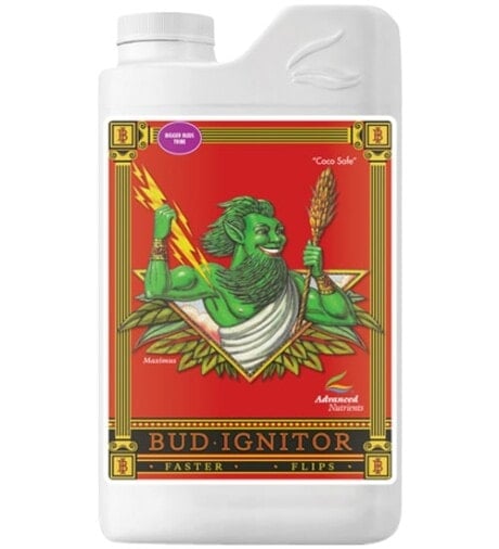 Bud Ignitor