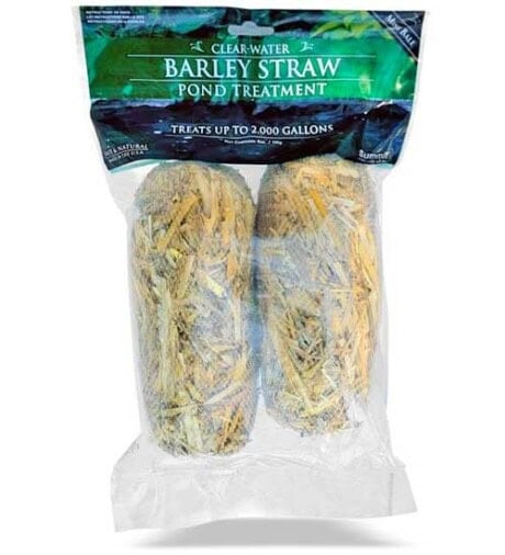Barley Straw