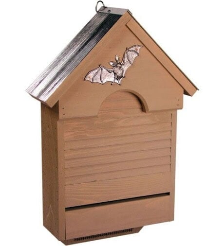 Bat Haven